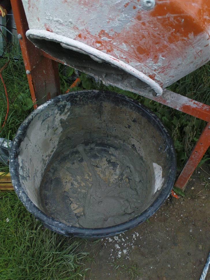 Lidt sjove billeder fra svigerfars hundepension Domus Canis billede 31