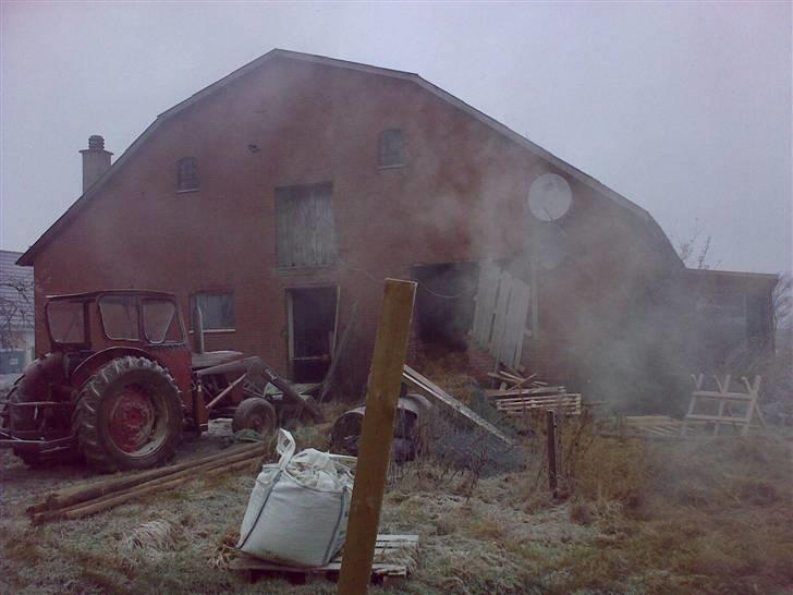 Lidt sjove billeder fra svigerfars hundepension Domus Canis billede 39