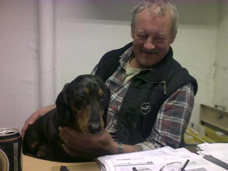 Lidt sjove billeder fra svigerfars hundepension Domus Canis billede 42