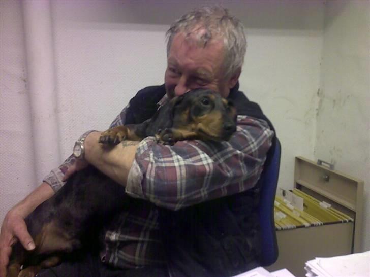 Lidt sjove billeder fra svigerfars hundepension Domus Canis billede 44