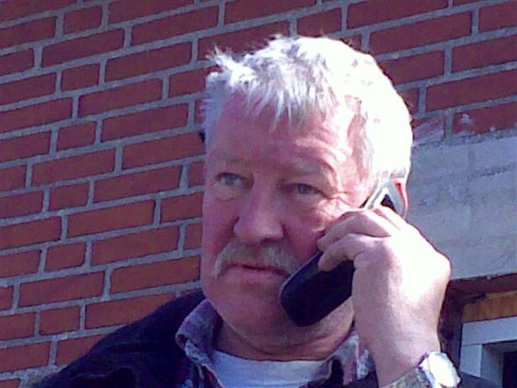 Lidt sjove billeder fra svigerfars hundepension Domus Canis billede 51