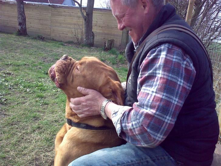 Lidt sjove billeder fra svigerfars hundepension Domus Canis billede 53