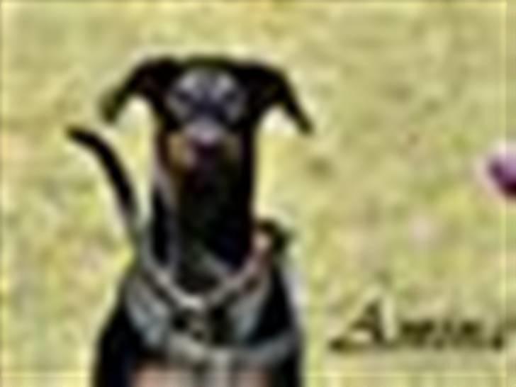 Tegninger / billeder som er lavet til mig billede 11