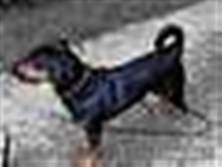 Tegninger / billeder som er lavet til mig billede 12