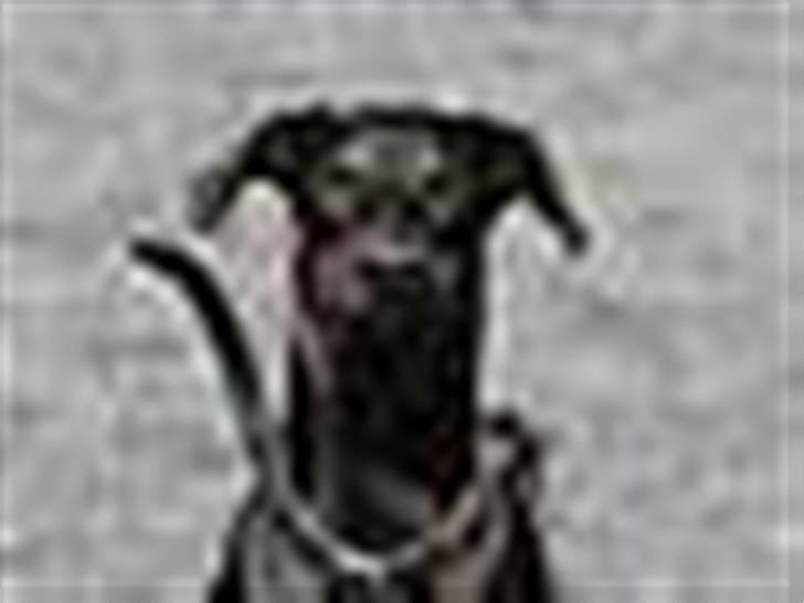 Tegninger / billeder som er lavet til mig billede 13