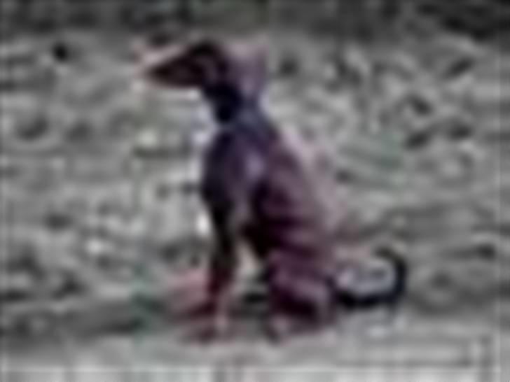 Tegninger / billeder som er lavet til mig billede 14