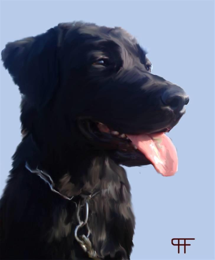 Tegninger af andres hunde - Blanding af racer Frida. billede 307