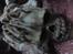 Vores andre dyr 