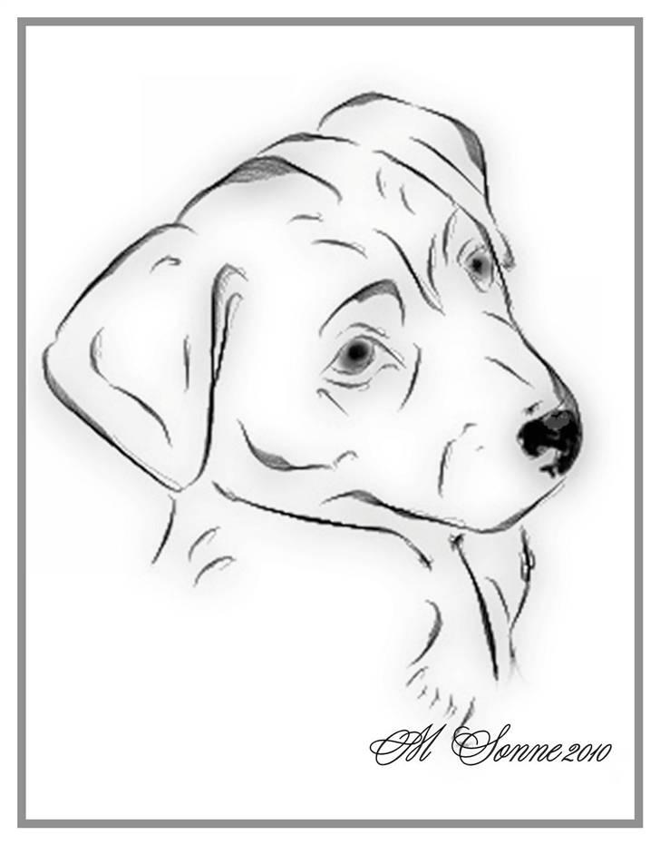 En streg kan bruges til meget :O) - Malou billede 6