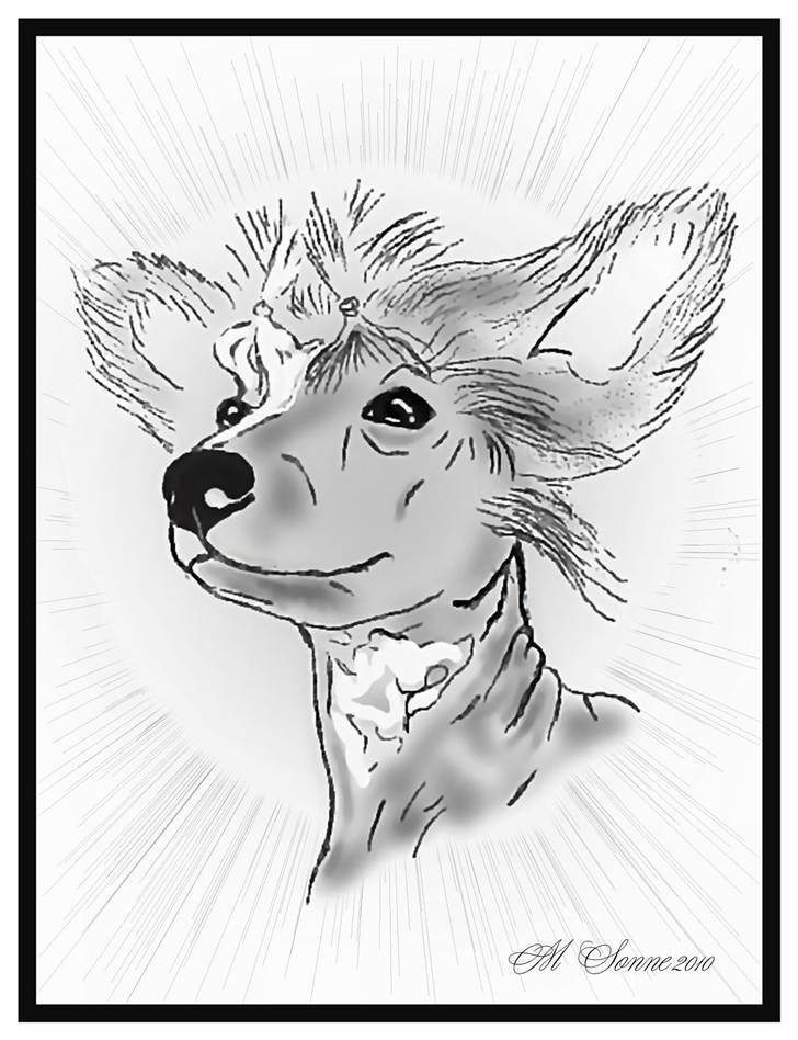 En streg kan bruges til meget :O) billede 8