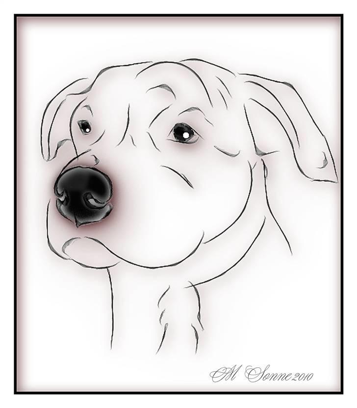 En streg kan bruges til meget :O) - Coco billede 12