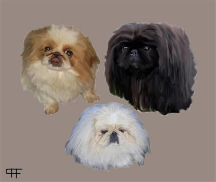Tegninger af andres hunde - Nickolaj's Familie. billede 311