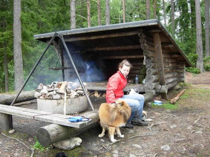 slack leder lektie På ferie i Sverige - Diverse hund - Fotos fra Michelle