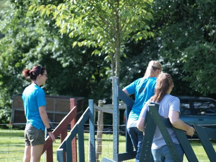 Dyrenes dag Slagelse med DcH - Agilitybane og stand skal sættes op billede 1
