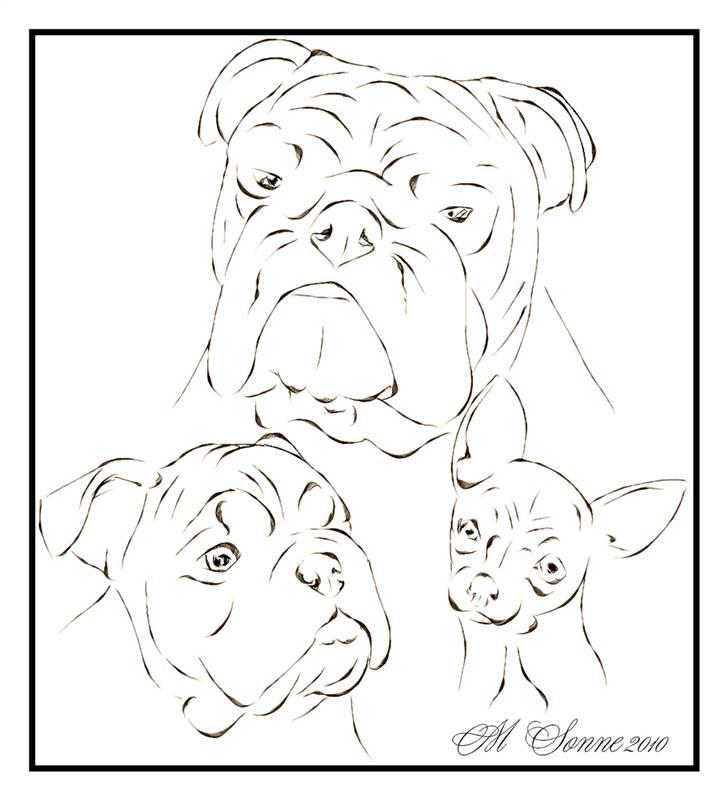 En streg kan bruges til meget :O) billede 13