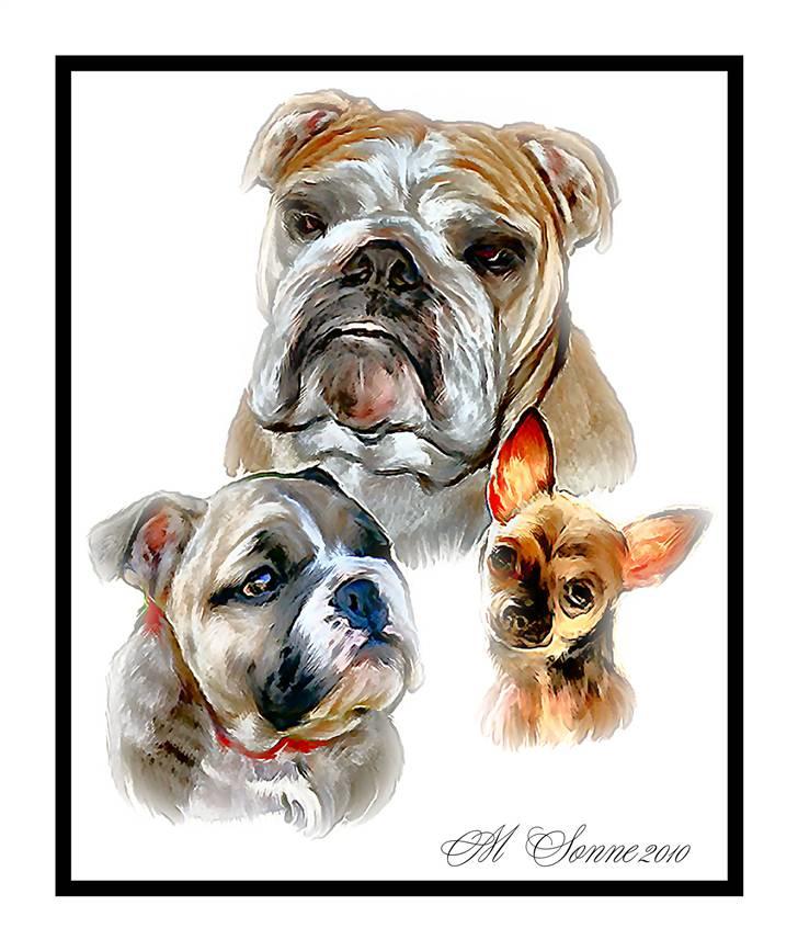 En streg kan bruges til meget :O) billede 14