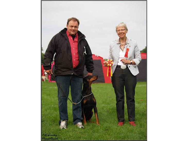 {{currentPhoto.altText}} billede {{currentPhoto.number}}