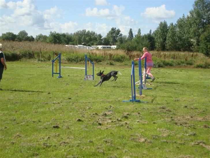 Første gang i Frederiksværk Agility klub billede 3
