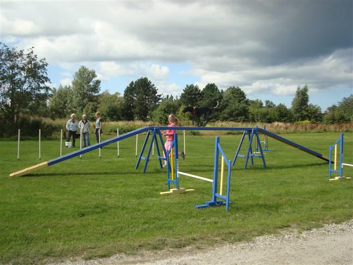 Første gang i Frederiksværk Agility klub billede 5
