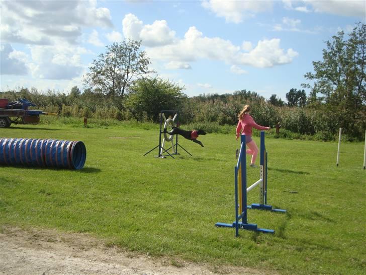 Første gang i Frederiksværk Agility klub billede 6