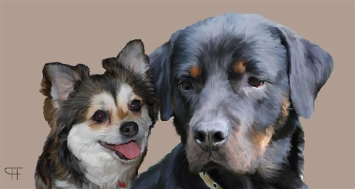 Tegninger af andres hunde - Mille og Nica. billede 314