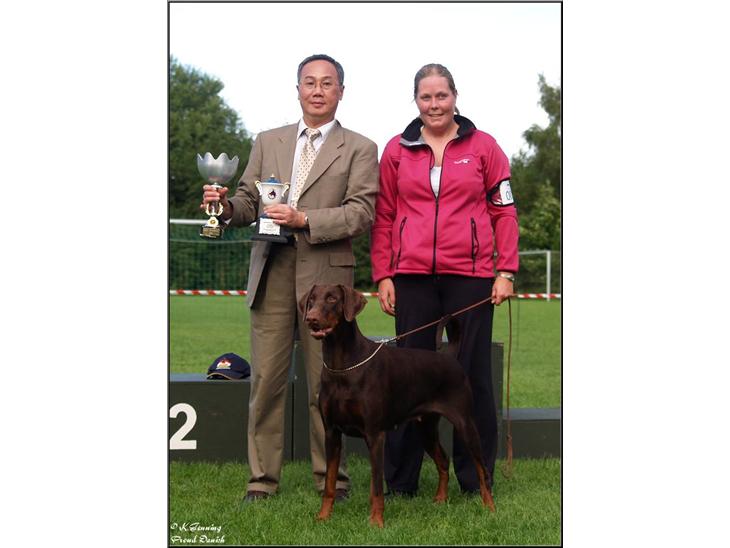 {{currentPhoto.altText}} billede {{currentPhoto.number}}