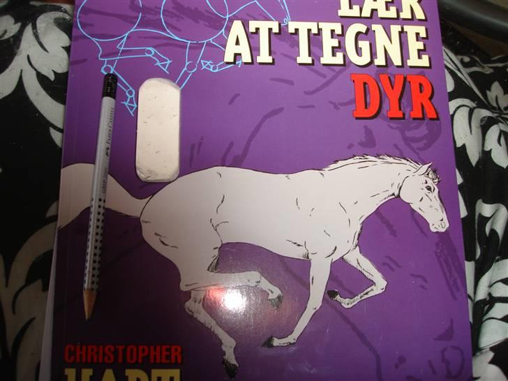 Mine hunde tegninger - Af denne bog har jeg lært det. det enste jeg har brugt er: en skole blyant, af god kvalitet, og et visklæder. DET KAN LADE SIG GØRE!! billede 13