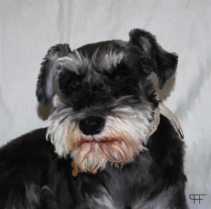 Tegninger af andres hunde - Karla. billede 317