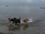 Tur ved stranden