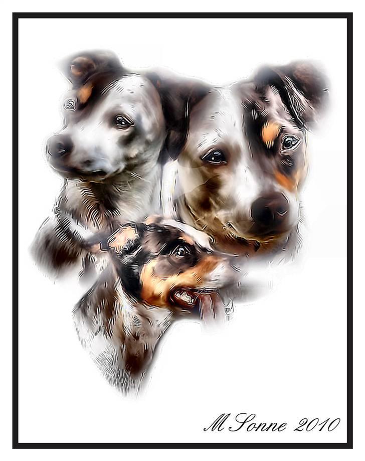 En streg kan bruges til meget :O) billede 17