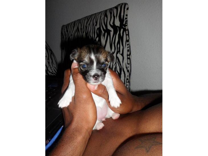 {{currentPhoto.altText}} billede {{currentPhoto.number}}