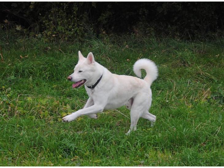 {{currentPhoto.altText}} billede {{currentPhoto.number}}