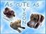 Andres hunde 1 - Engle - Tyson heaven :-)
http://www.hundegalleri.dk/html/gal_visbil.asp?ID=17447&ipc=64686