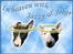 Andres hunde 1 - Engle - Joker og Jazzy - heavenly angels
http://www.hundegalleri.dk/html/gal_visbruger.asp?userID=2748