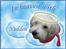 Andres hunde 1 - Engle - Nudden
Http://www.hundegalleri.dk/html/gal_visbil.asp?ID=14664