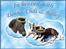 Andres hunde 1 - Engle - Donna, Chilli & Bailey som glade engle
http://www.hundegalleri.dk/html/gal_visbruger.asp?userID=15681
