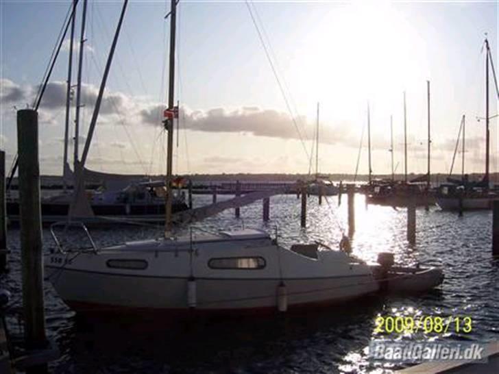 Hunde i sne billede 12