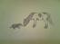 Tegnede dyr. - Hest & hund
