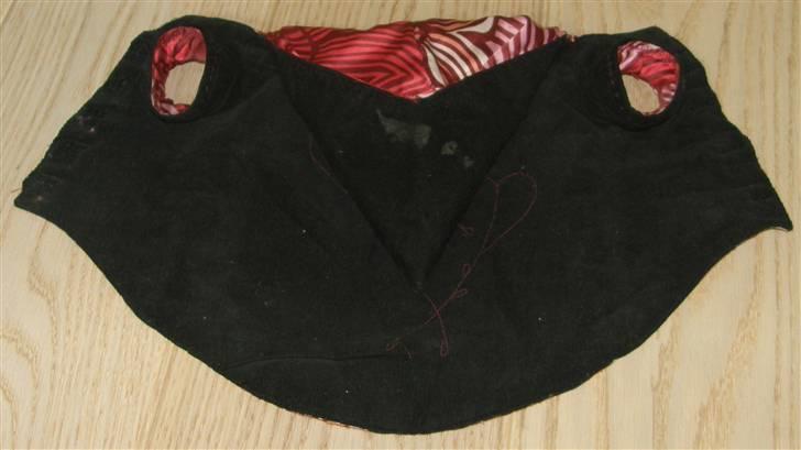 Hjemmelavet Hundetøj billede 9