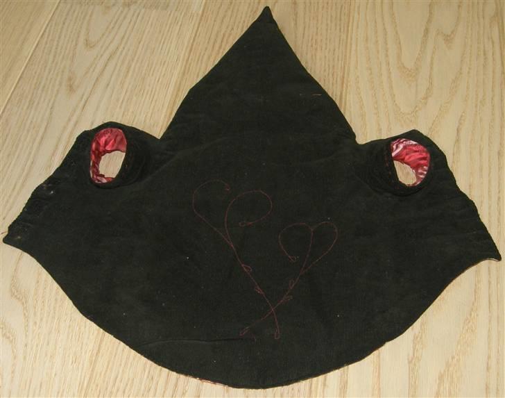 Hjemmelavet Hundetøj billede 10