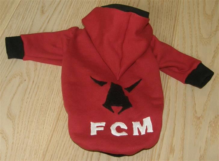 Hjemmelavet Hundetøj billede 15