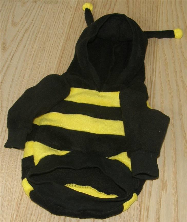 Hjemmelavet Hundetøj billede 16