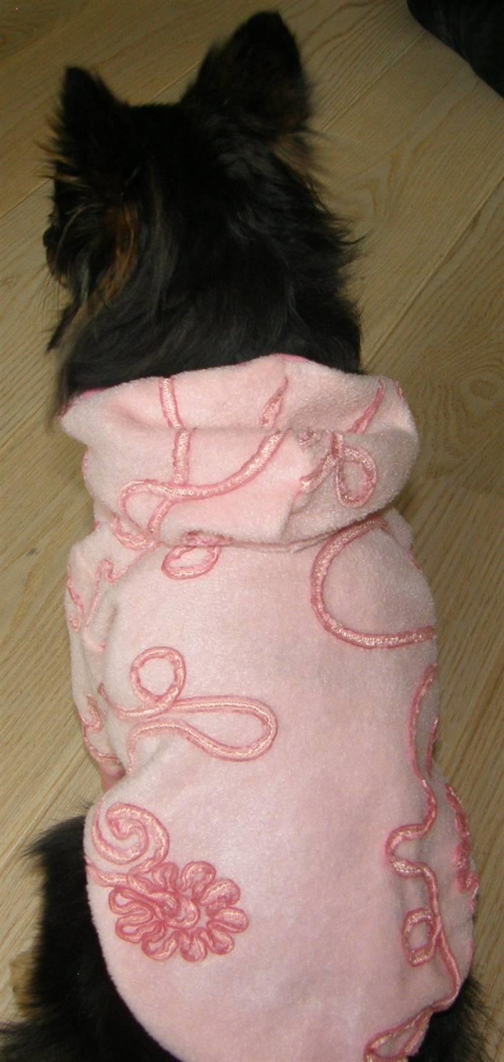 Hjemmelavet Hundetøj billede 24