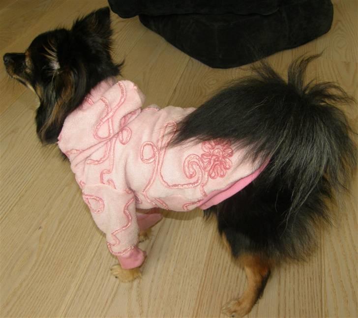 Hjemmelavet Hundetøj billede 25