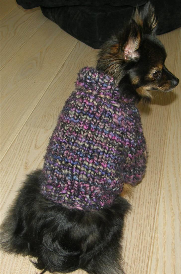 Hjemmelavet Hundetøj billede 26