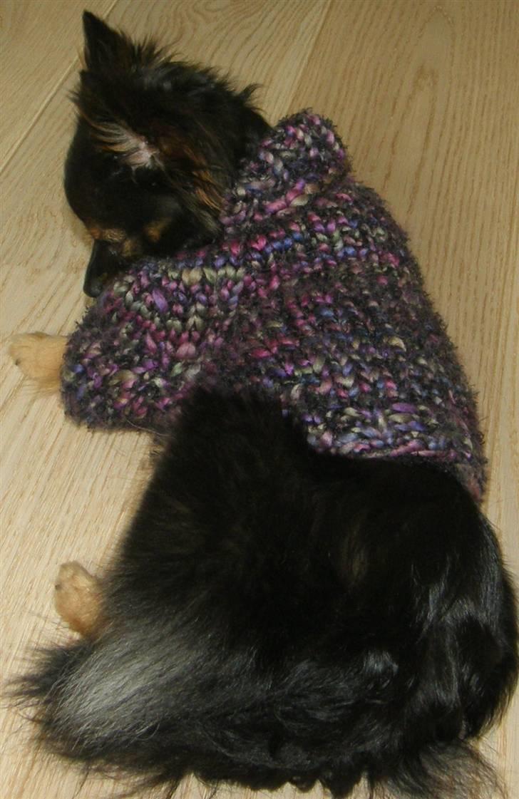 Hjemmelavet Hundetøj billede 27