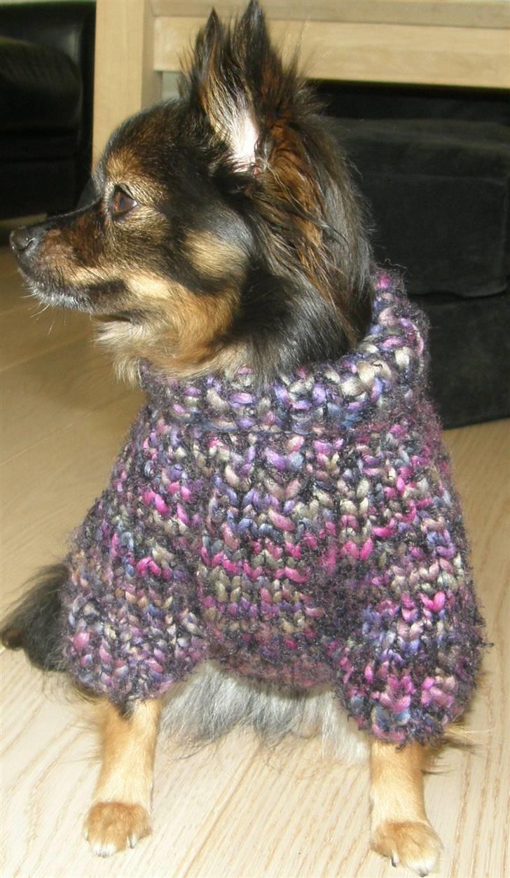 Hjemmelavet Hundetøj billede 28