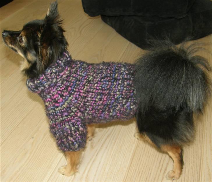 Hjemmelavet Hundetøj billede 29
