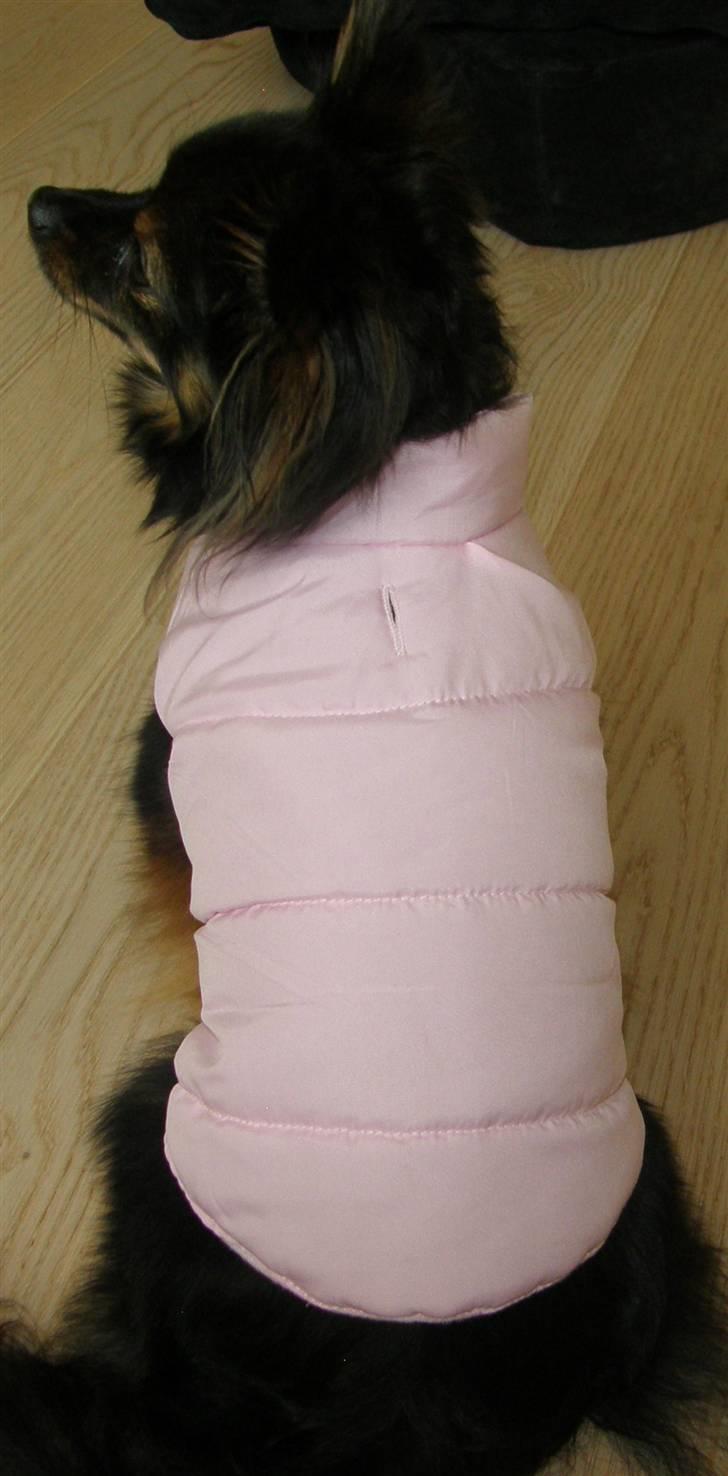 Hjemmelavet Hundetøj billede 32