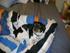 Min lille hund tuco